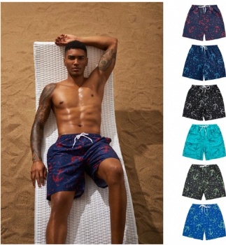 beach shorts for men swim trunks shorts for men swimwear bathing swim shorts sports pant