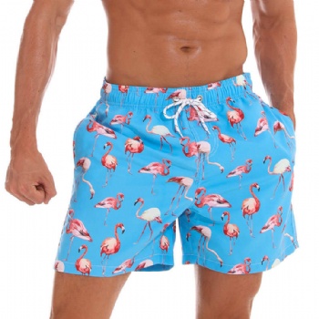 Custom Logo Quick Dry Mens Swim Shorts Trunks with Mesh Lining Funny Board Shorts Sublimated Printing Beach Shorts Adult